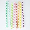 The Better House Extra-Wide & Long Paper Straws (Set Of 25)